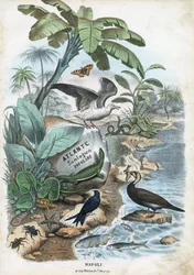 Titelseite, 1863-79